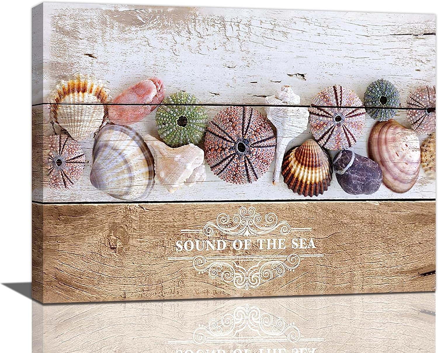 Beach Seashell Bathroom Decor Wall Art Coastal Ocean Seascape Picture ...