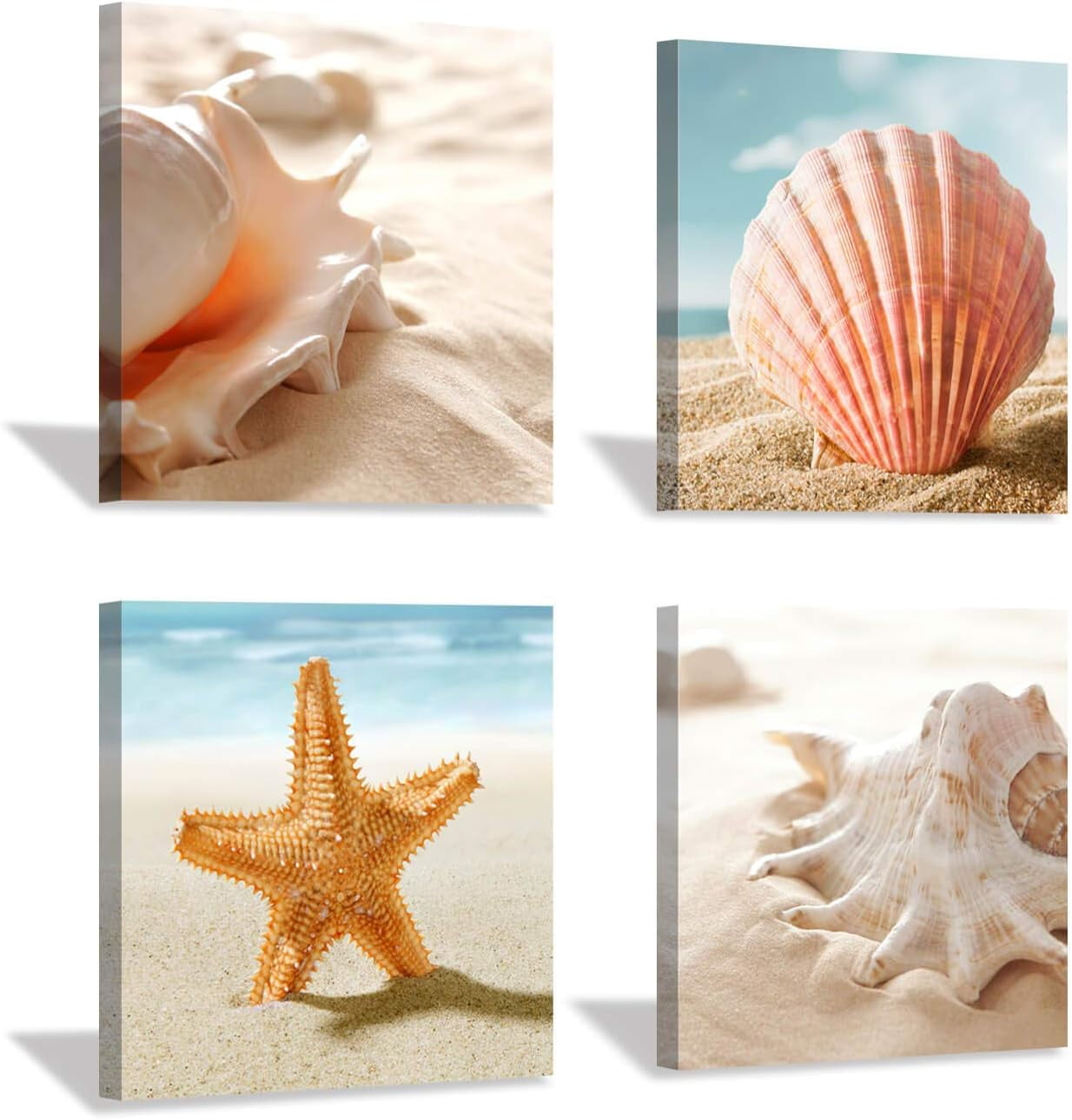 Beach Seashell Canvas Artwork Painting: Coastal Seascape Conch Wall Art ...