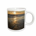thumbnail image 1 of 3drose, Beach Seashells, Padre Island, Gulf of Mexico, Texas - Us44 Ldi0021 - Larry Ditto, 15oz Mug, 1 of 6