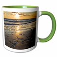 thumbnail image 1 of 3drose, Beach Seashells, Padre Island, Gulf of Mexico, Texas - Us44 Ldi0021 - Larry Ditto, 15oz Two-tone Green Mug, 1 of 6