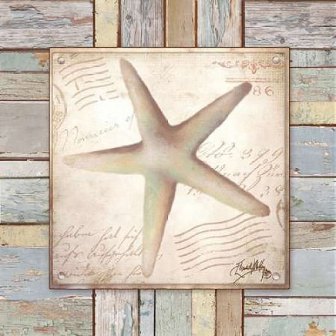 Beach Shell IV Canvas Art - Elizabeth Medley (24 x 24)