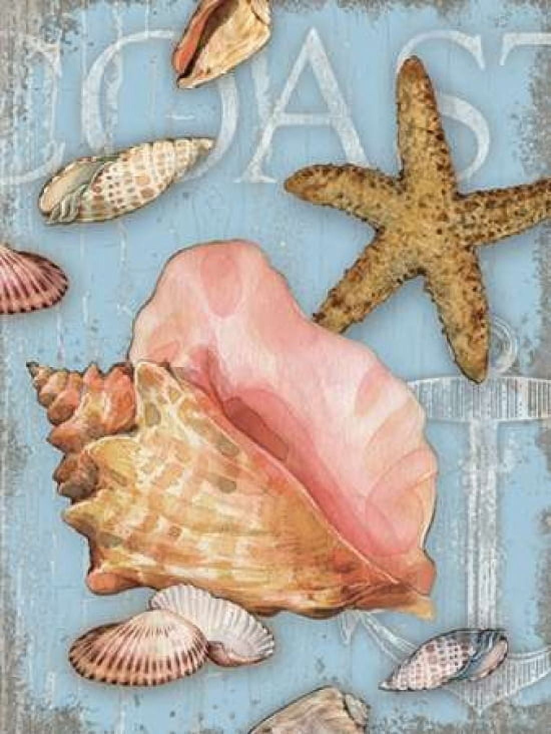 Beach Shells Coast Canvas Art - Julie Paton (22 x 28)