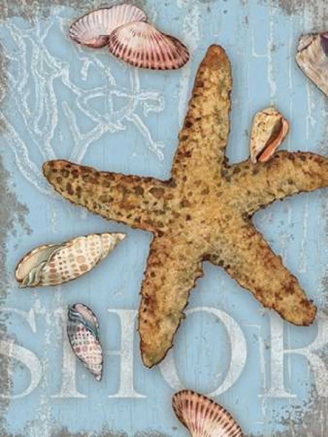 Beach Shells Shore Canvas Art - Julie Paton (22 x 28)