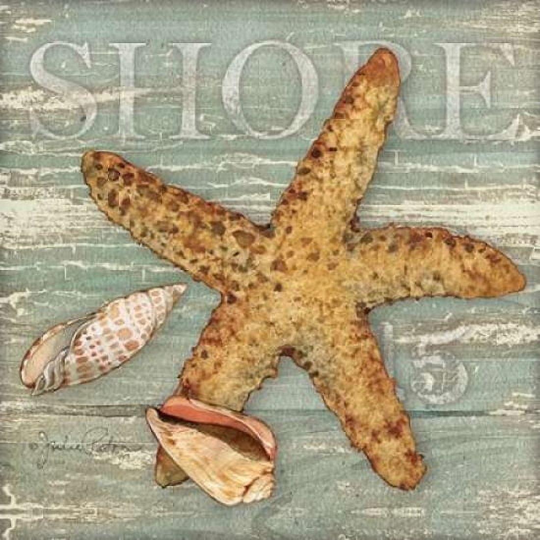 Beach Shells Starfish Canvas Art - Julie Paton (24 x 24)