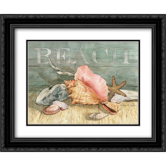 Beach Shells Still LIfe 2x Matted 24x20 Black Ornate Framed Art Print by Paton, Julie