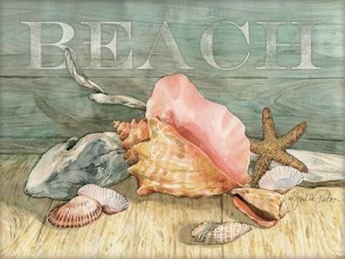 Beach Shells Still LIfe Canvas Art - Julie Paton (18 x 24)