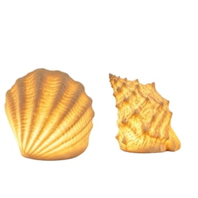 Beach Theme Night Light - 2pc Shell Conch Shaped Lamp, Yellow Glow LED Lamp with Battery Powered Safe Lighting for Nursery, Bedroom, Bathroom Decor, Kids Gift Ready, Christmas, Coastal Home