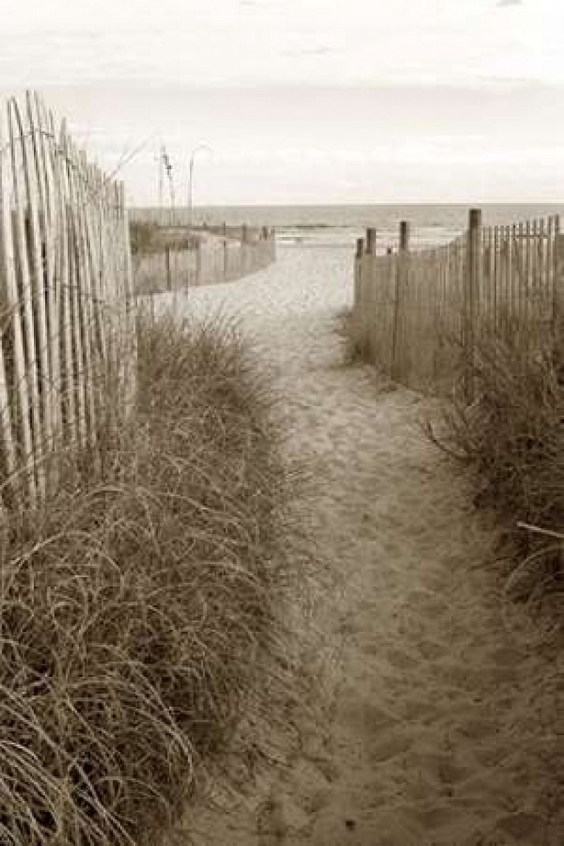 Beach Trail 1 Canvas Art - Amber Light Gallery (12 x 18)
