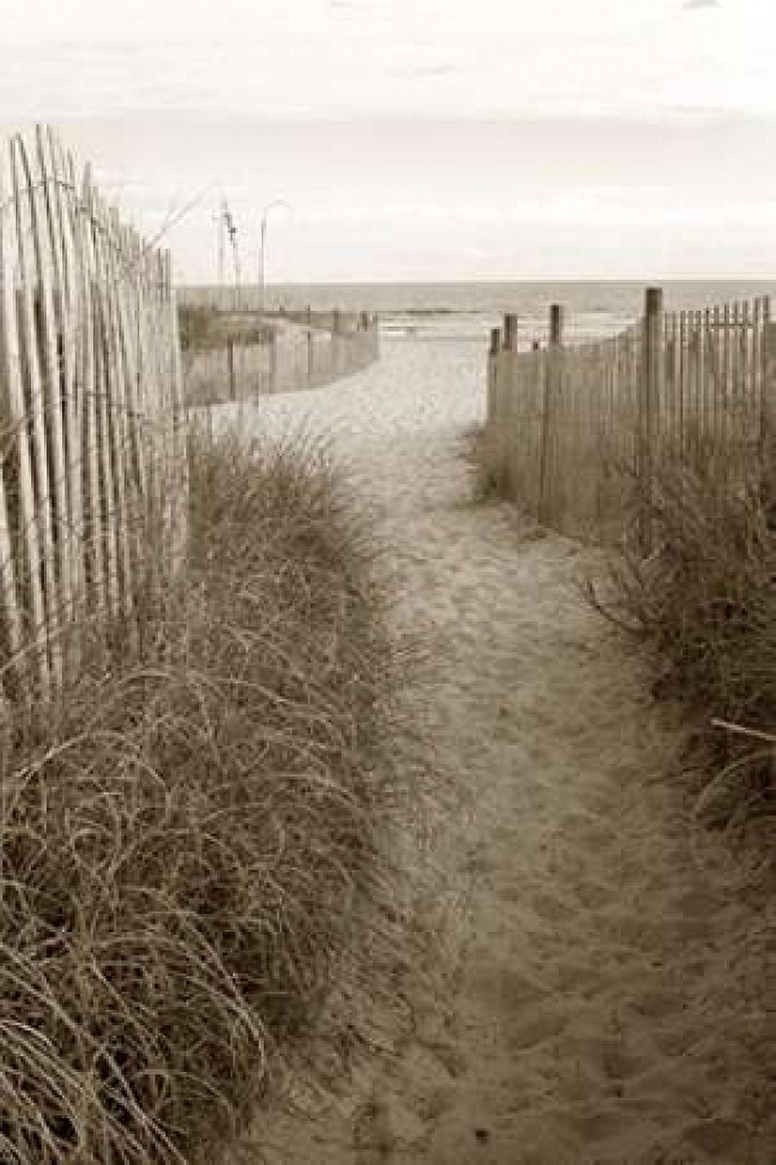 Beach Trail 1 Canvas Art - Amber Light Gallery (24 x 36)