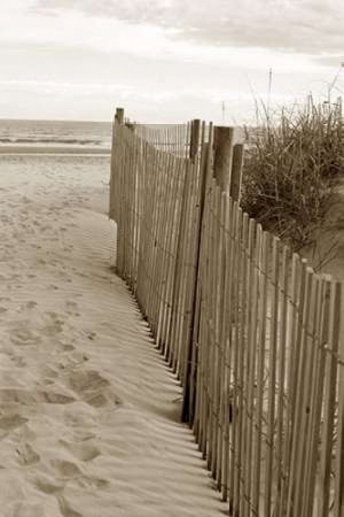 Beach Trail 2 Canvas Art - Amber Light Gallery (24 x 36)