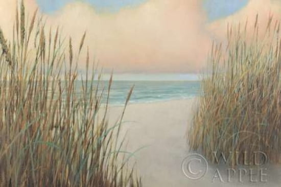Beach Trail I Canvas Art - James Wiens (12 x 18)