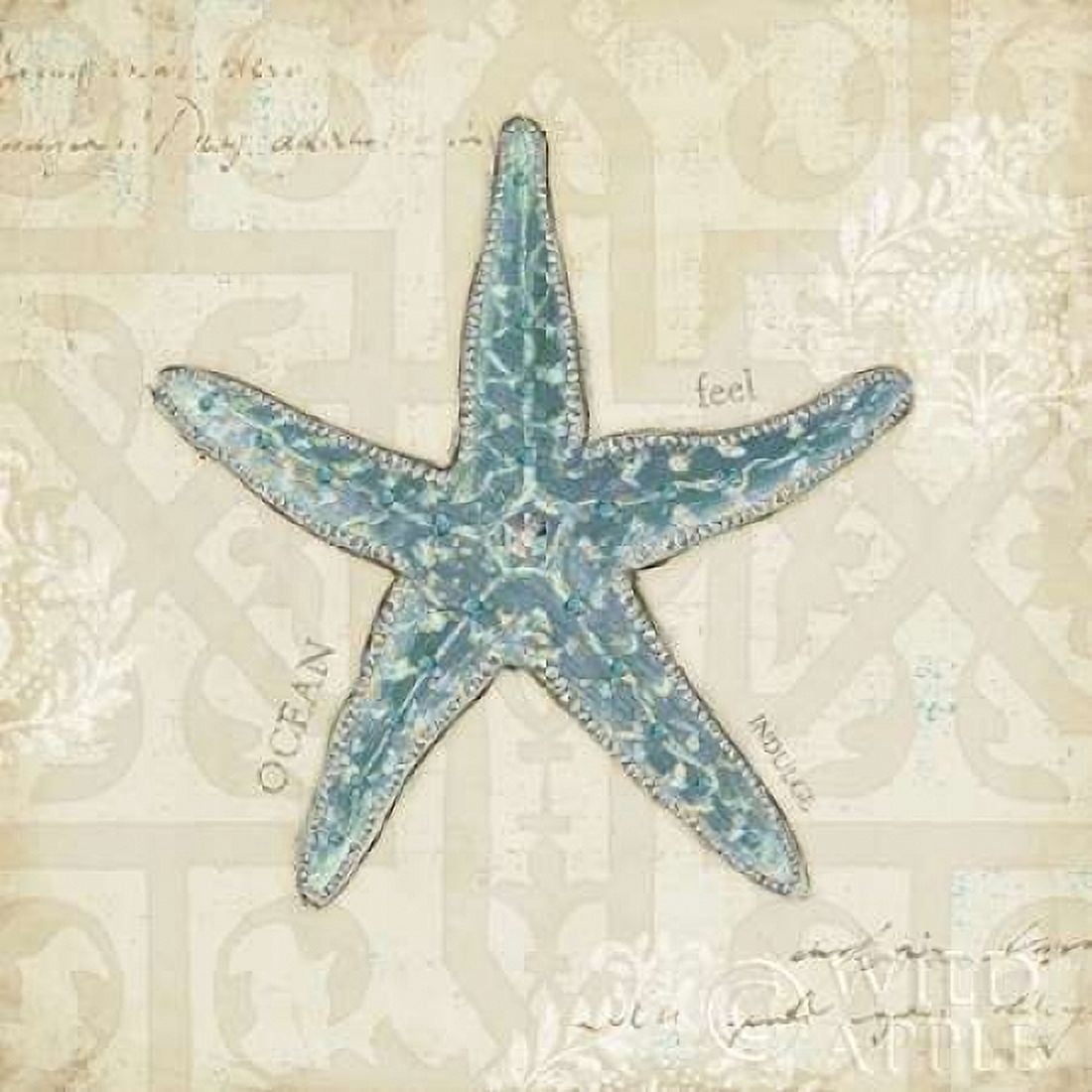 Beach Treasures II Canvas Art - Emily Adams (24 x 24)