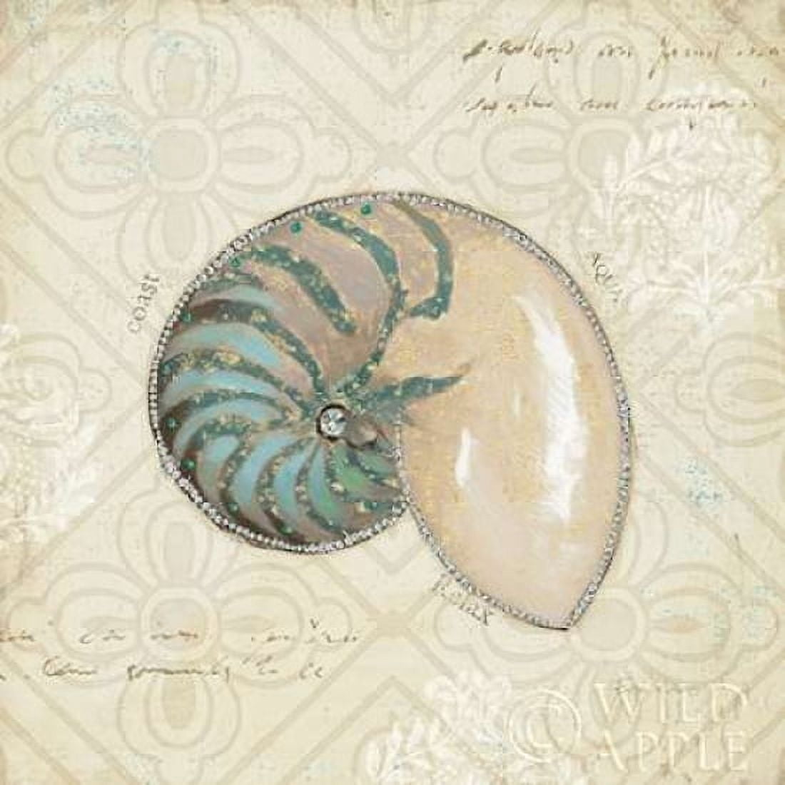 Beach Treasures III Canvas Art - Emily Adams (24 x 24)