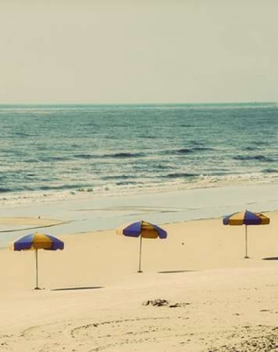 Beach Trip Rectangle II Canvas Art - Gail Peck (22 x 28)