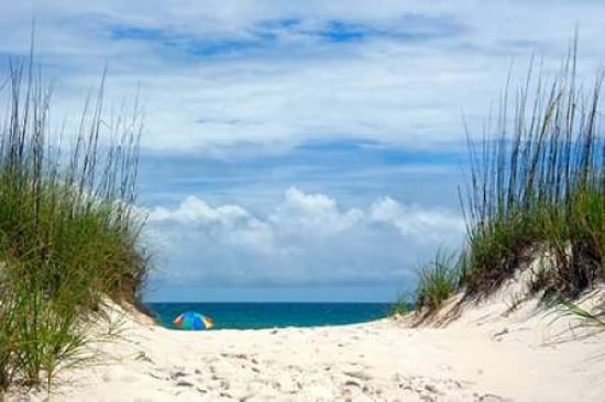 Beach Umbrella Canvas Art - David Liam Kyle (12 x 18)