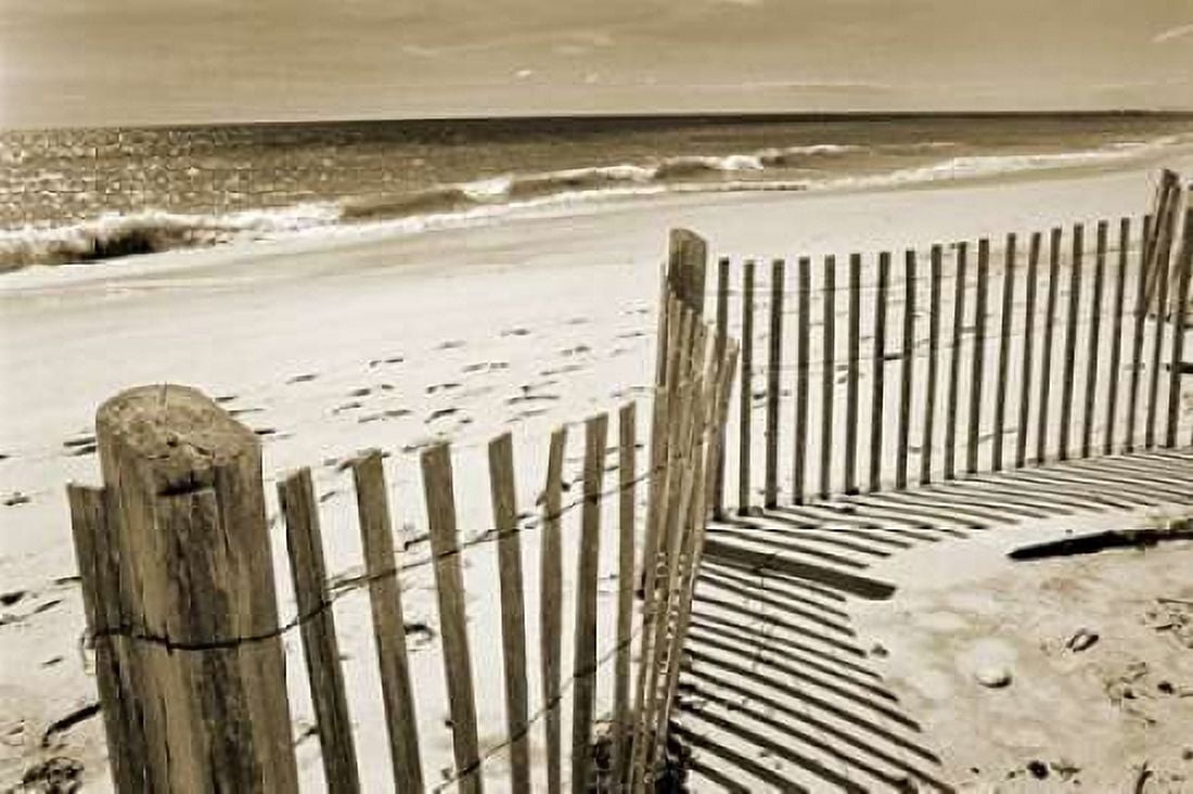 Beach Walk 1 Canvas Art - Amber Light Gallery (12 x 18)