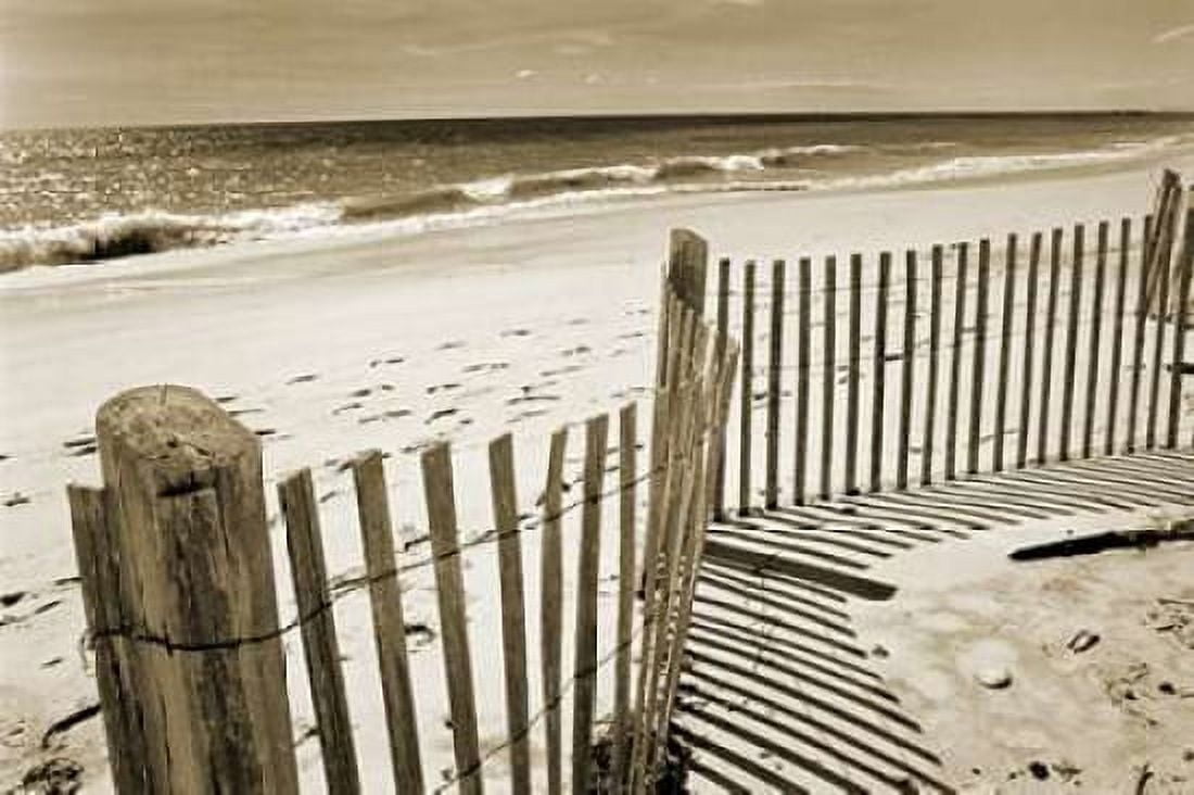Beach Walk 1 Canvas Art - Amber Light Gallery (24 x 36)