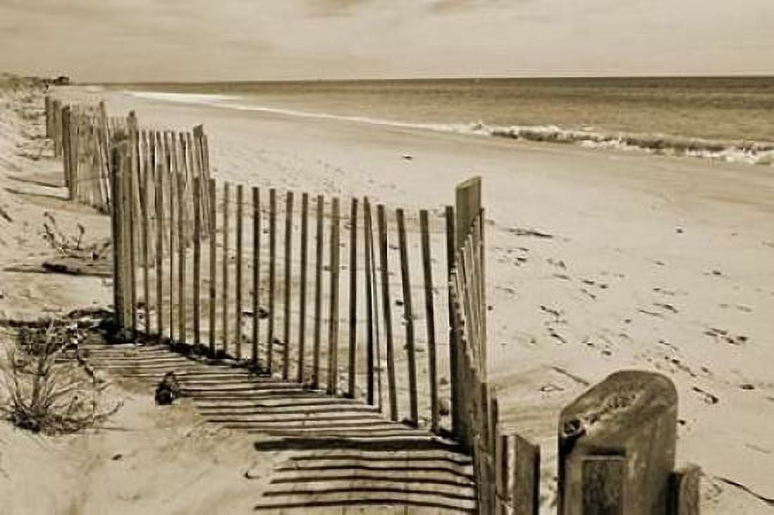 Beach Walk 2 Canvas Art - Amber Light Gallery (12 x 18)