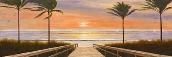 Beach Winds Canvas Art - Diane Romanello (8 x 24)