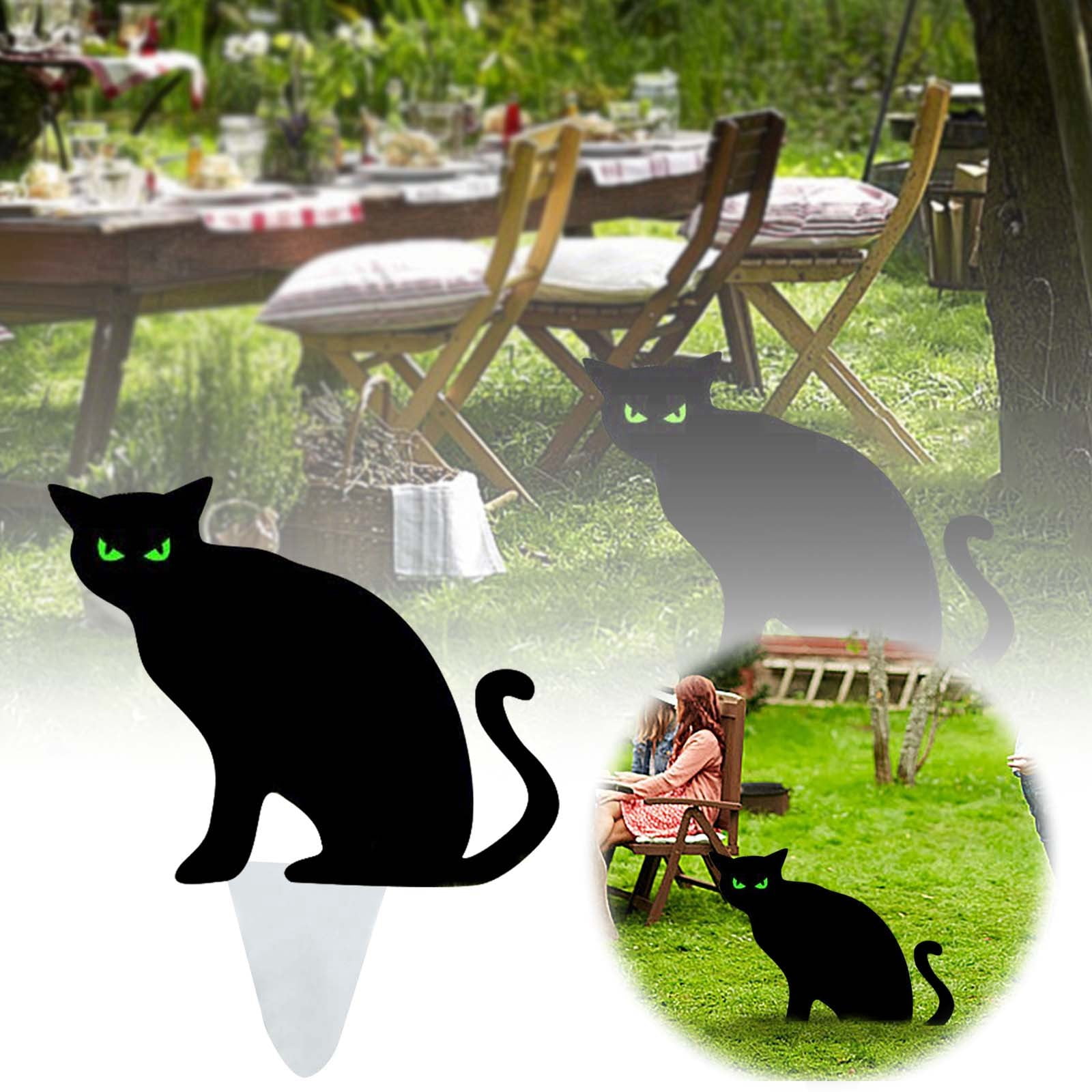 Beach Windsock Home Numbers for Address Lighted Solar Address Numbers