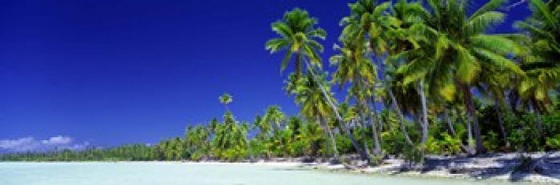 Beach With Palm Trees Bora Bora Tahiti Canvas Art - Panoramic Images (18 x 6)