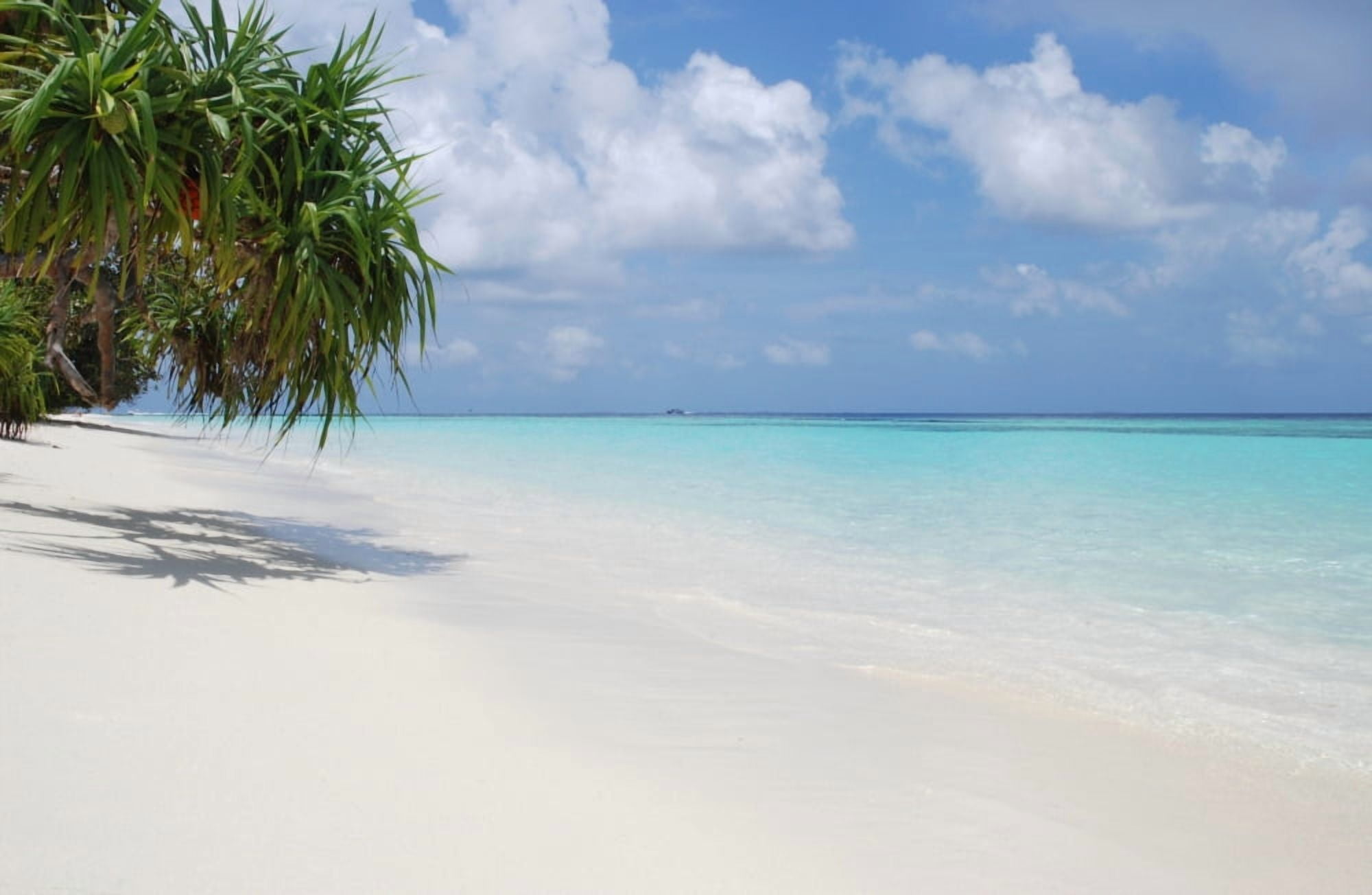 Beach With Palm Trees Canvas Art - Teresa Arvalo Design Pics (38 x 24)