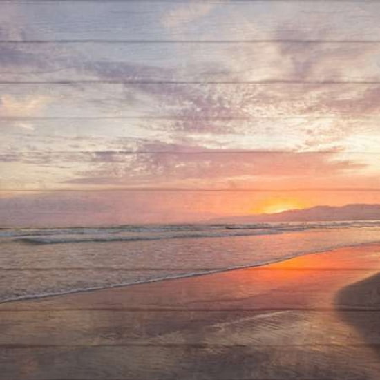 Beach Wood White Canvas Art - Susan Bryant (24 x 24)