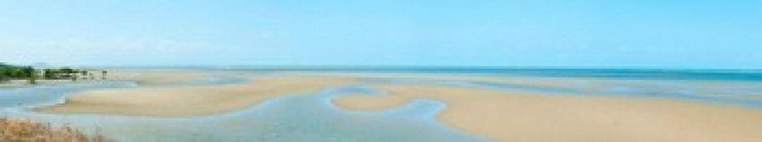 Beach and Coral Sea along Captain Cook Highway Mowbray Queensland Australia Canvas Art - Panoramic Images (22 x 4)