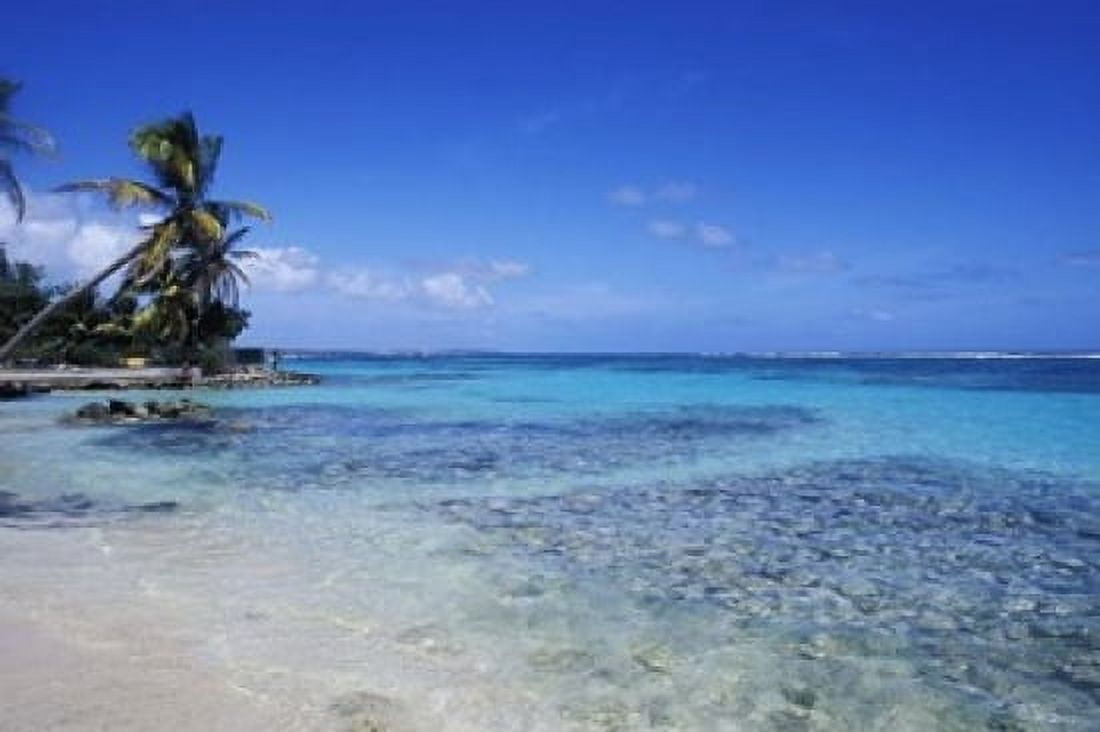 Beach and Palms in Sainte Anne Guadeloupe Canvas Art - Bill Bachmann DanitaDelimont (36 x 24)
