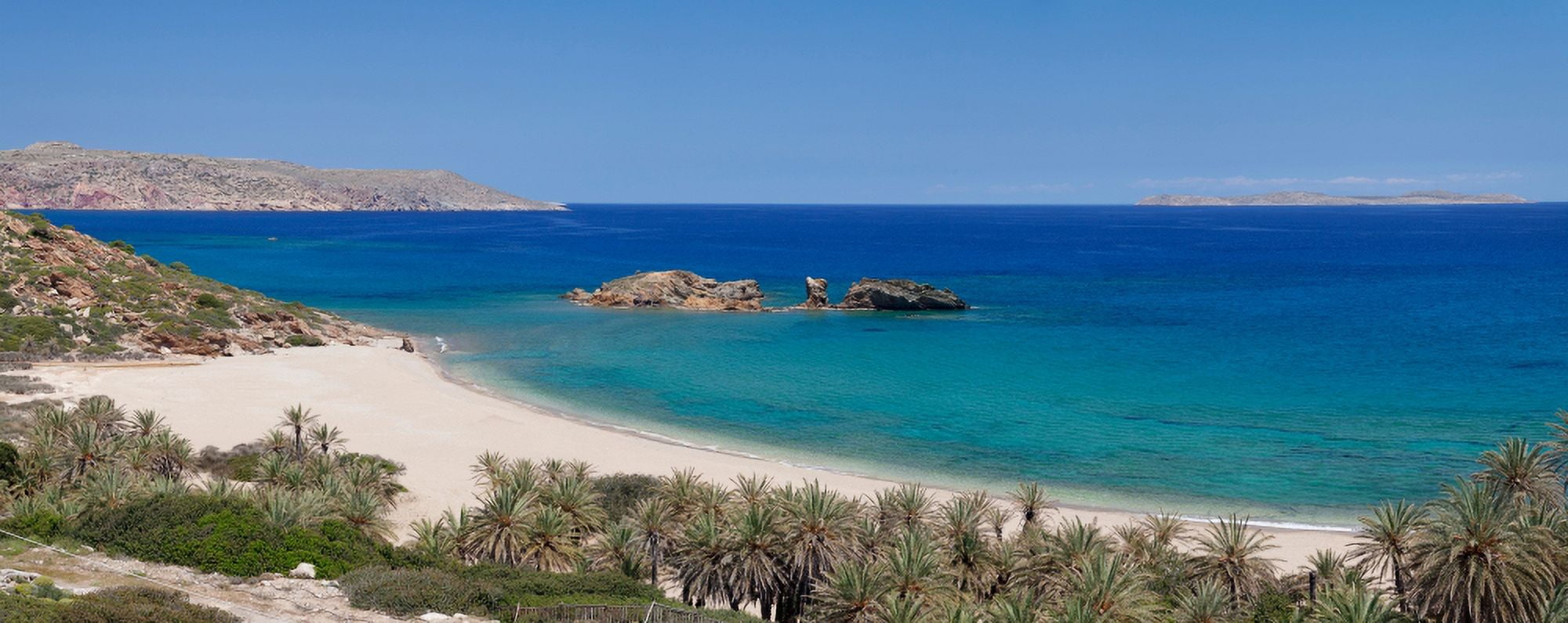 Beach and palm tree forest Vai Lasithi Eastern Crete Crete Greece Canvas Art - Panoramic Images (27 x 9)