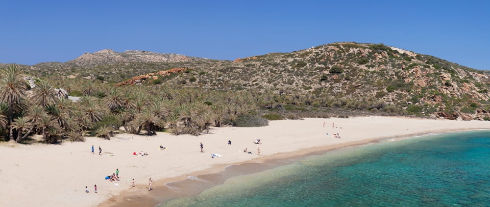 Beach and palm tree forest Vai Lasithi Eastern Crete Crete Greece Canvas Art - Panoramic Images (27 x 9)
