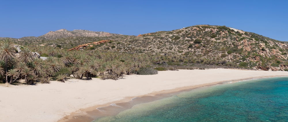 Beach and palm tree forest Vai Lasithi Eastern Crete Crete Greece Canvas Art - Panoramic Images (27 x 9)