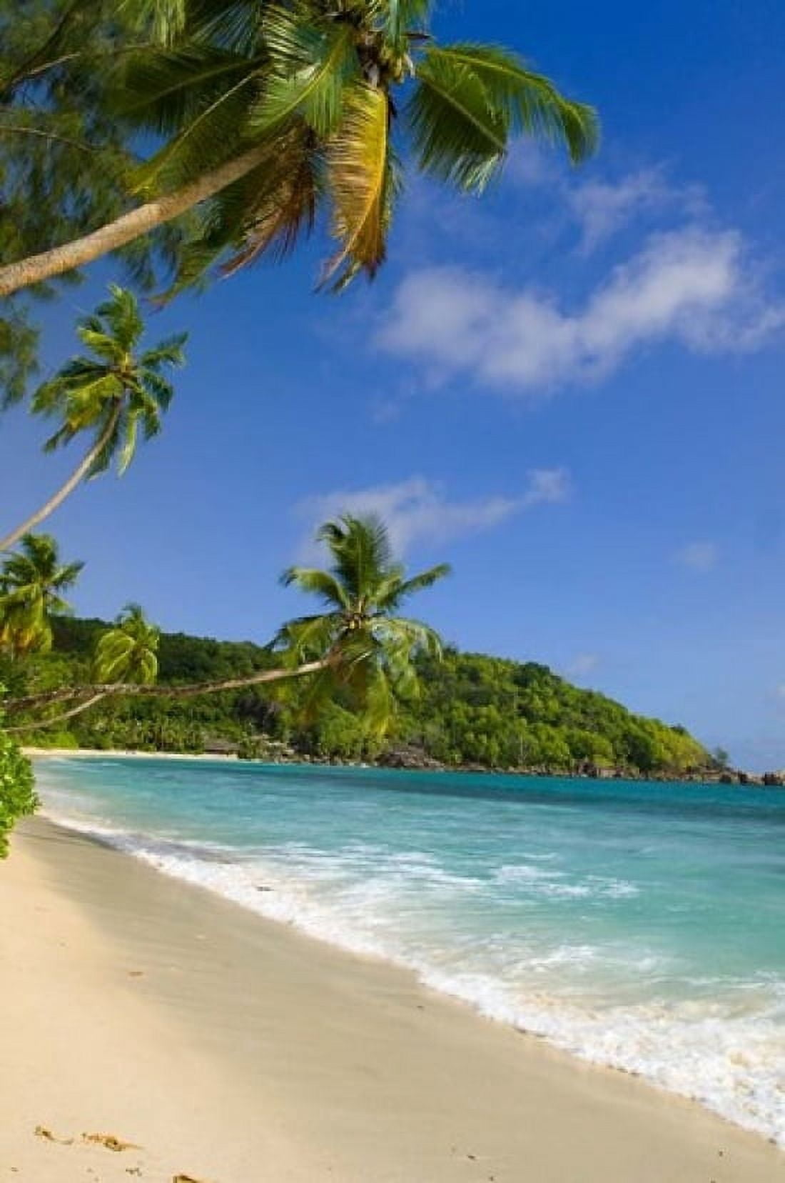 Beach at Chez Batistas Restaurant Seychelles Canvas Art - Alison Wright DanitaDelimont (11 x 17)