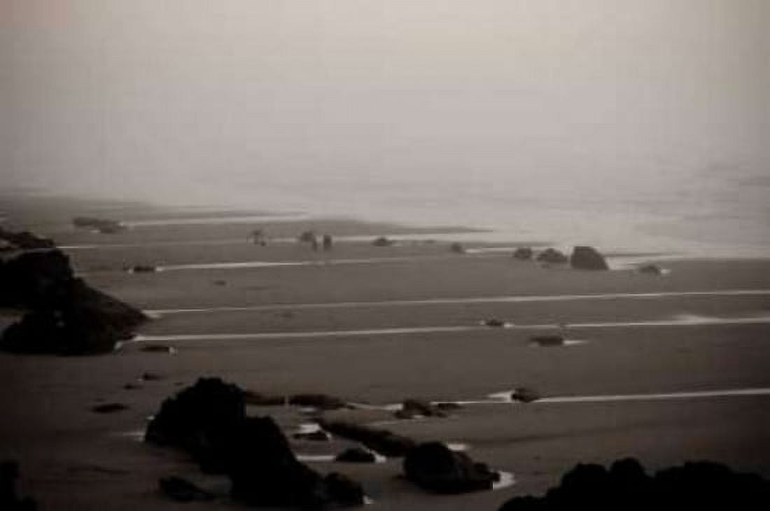 Beach at Seal Rock I Canvas Art - Erin Berzel (24 x 36)