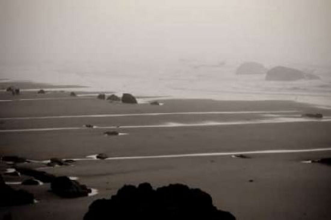 Beach at Seal Rock II Canvas Art - Erin Berzel (20 x 28)