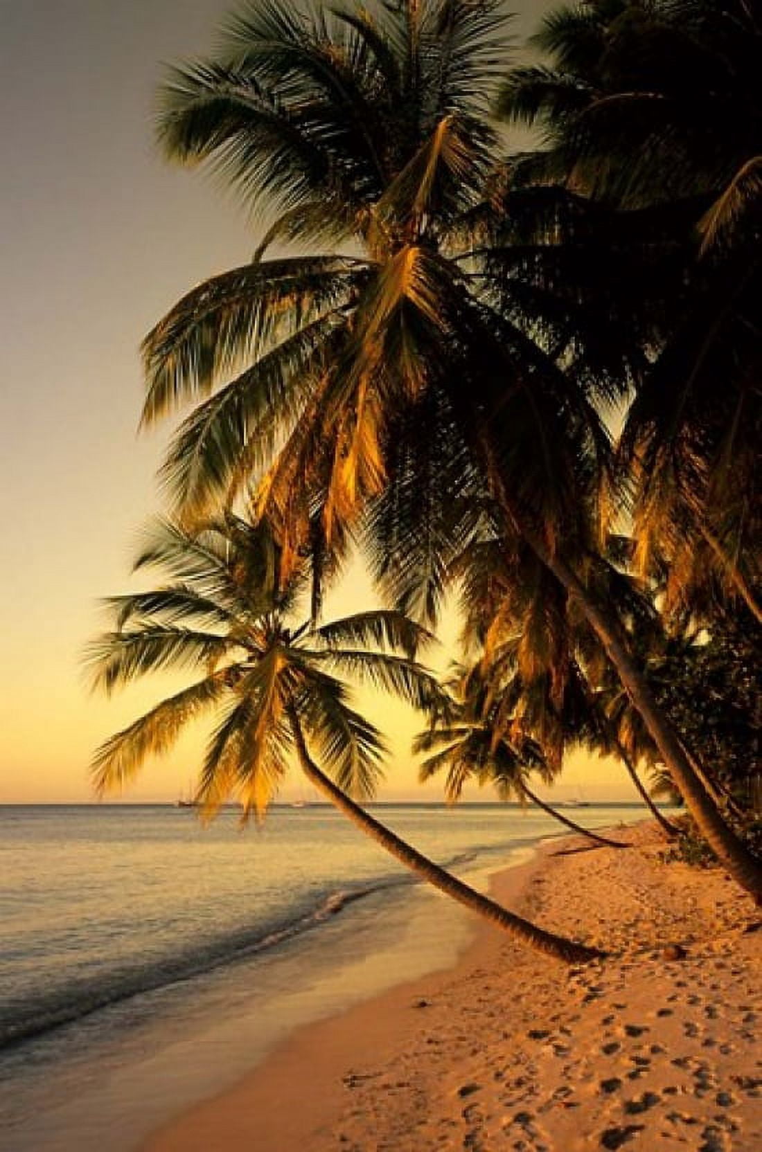 Beach at Sunset Trinidad Caribbean Canvas Art - Michael DeFreitas DanitaDelimont (18 x 27)