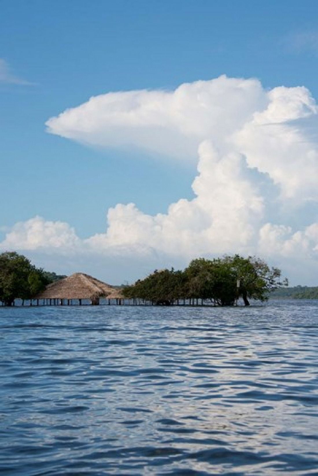 Beach at height of the wet season Alter Do Chao Amazon Brazil Canvas Art - Cindy Miller Hopkins DanitaDelimont (24 x 35)
