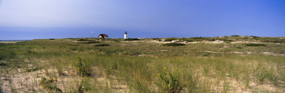 Beach with lighthouse in the background Race Point Light Provincetown Cape Cod Barnstable County Massachusetts USA Canvas Art - Panoramic Images (12 x 36)