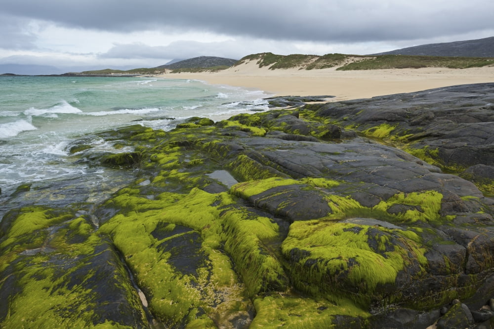 Beach near Northton Isle of Harris Outer Hebrides Scotland Canvas Art - Carl Bruemmer Design Pics (19 x 12)