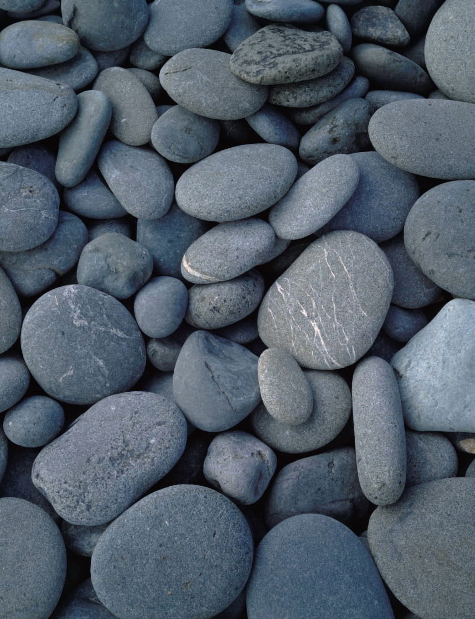 Beach rocks on Rialto Beach Olympic National Park WA Canvas Art - Panoramic Images (12 x 36)