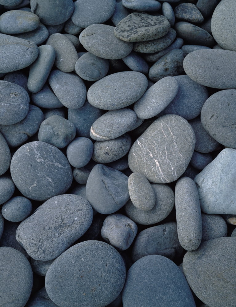 Beach rocks on Rialto Beach Olympic National Park WA Canvas Art - Panoramic Images (9 x 27)