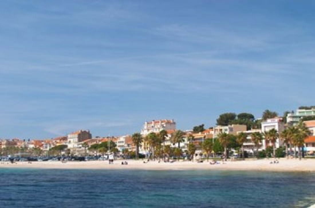 Beach with Palm Trees Along Coast in Bandol France Canvas Art - Per Karlsson DanitaDelimont (27 x 18)