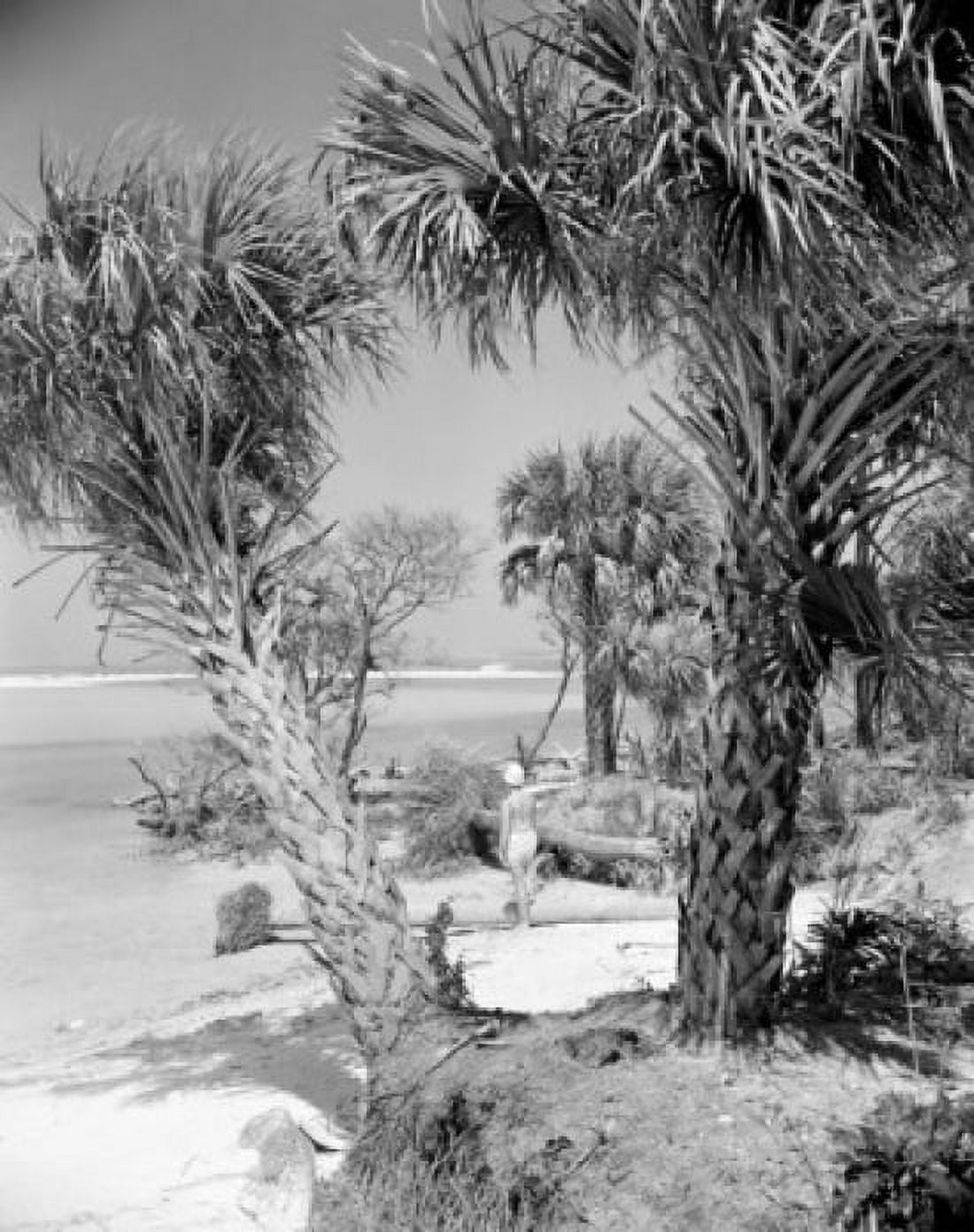 Beach with palm trees Canvas Art - (18 x 24)
