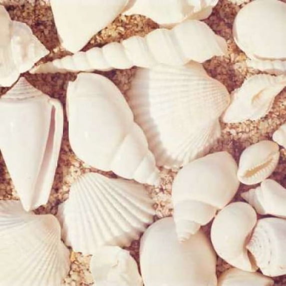 Beachcomber Poster Print by Carolyn Cochrane (24 x 24)
