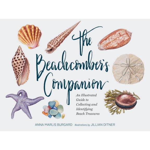 The Beachcomber's Companion: An Illustrated Guide to Collecting and Identifying Beach Treasures (Watercolor Seashell and Shell Collecting Book, Bea (Hardcover)
