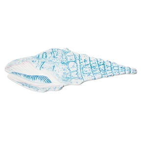 Blue Shell Plate