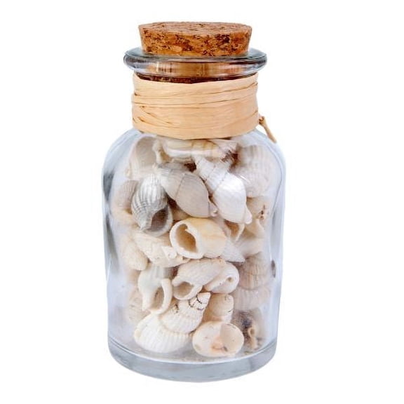 Beachcombers Bottle w/White Shells