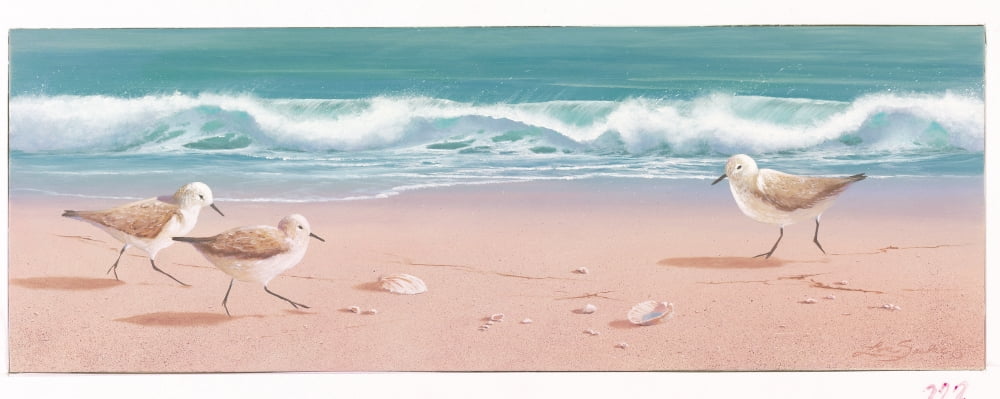 Beachcombers Canvas Art - Lin Seslar (12 x 30)