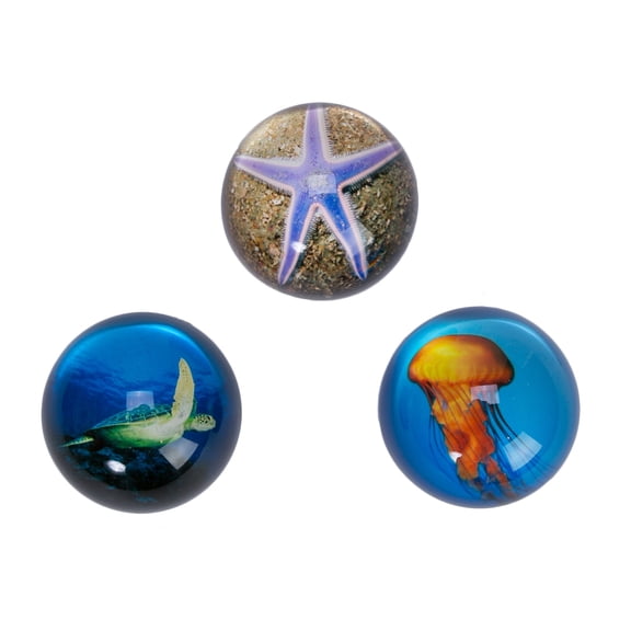 Beachcombers Jellyfish Dome Paperweight Multi