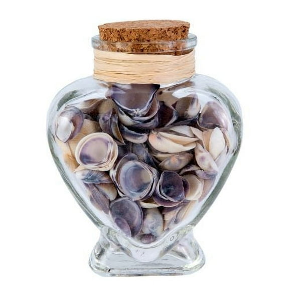 Beachcombers Md. Heart Bottle w/Shells
